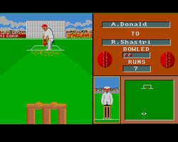 Cricket Crazy Amiga Public Domain Screen Shot